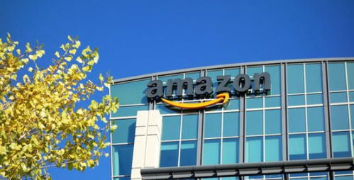 亞馬遜轉(zhuǎn)化率低怎么辦？江西中小企業(yè)網(wǎng)站建設(shè)與提升轉(zhuǎn)化率的實(shí)用技巧